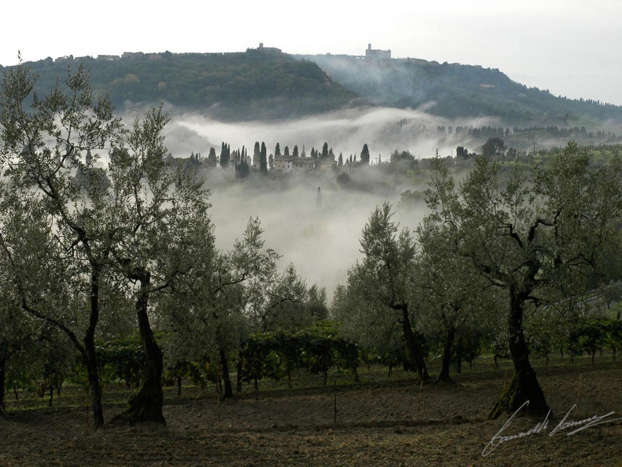 Holiday Home Le Pergole By Interhome Volterra Bagian luar foto